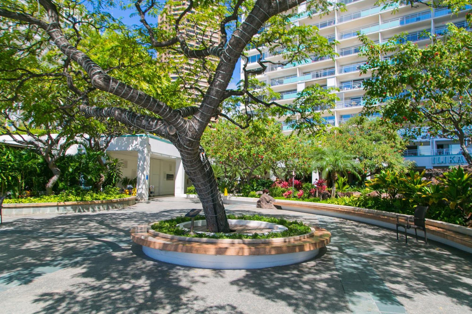 Ilikai Tower 1205 View 1br Apartment Honolulu